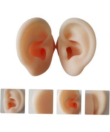 Hemoton Silicone Ear Model Set for Practice and Display | Ear Picking & Simulation Props - Buy Online on GoSupps.com