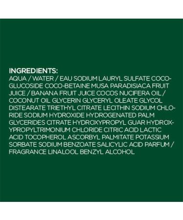 Garnier Fructis Pure Clean Fortifying Shampoo with Aloe - 12.5 fl oz (370 ml) | Strengthen & Nourish Hair - Buy Online on GoSupps.com