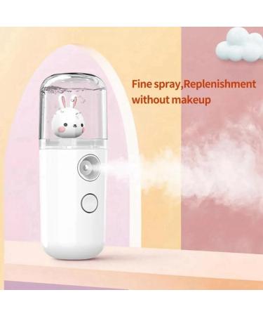 Yominerr 30ml Mini Mist Sprayer Steamer Humidifier Portable USB Rechargeable Face Moisturizing Nebulizer Beauty Skin Care - Buy Online on GoSupps.com