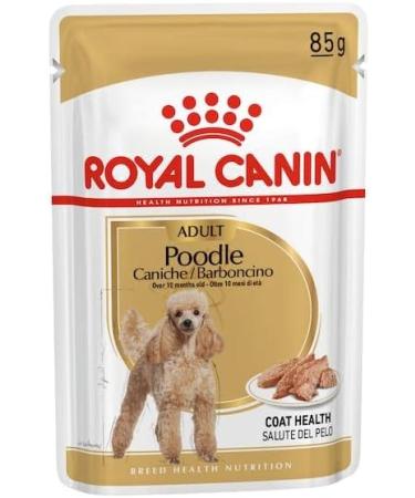 Royal Canin Poodle Adult | Double Pack | 2 x 12 x 85 g | Wet food for adult poodles | To support the coat | Optimal daily nutrition | From the 10th month of life - Buy Online on GoSupps.com