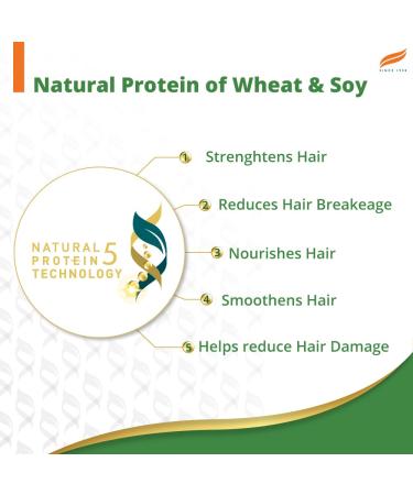 Himalaya Herbal Gentle Daily Care Protein Shampoo 400ml - Nourishing Formula for Healthy Hair | International Shipping Available - Buy Online on GoSupps.com