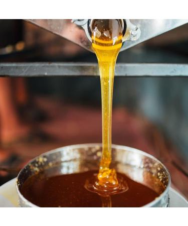 L'Abella Honey - 100% natural wild honey | Pure honey - Hand harvested in Spain - Gluten-free - 3000g - Buy Online on GoSupps.com