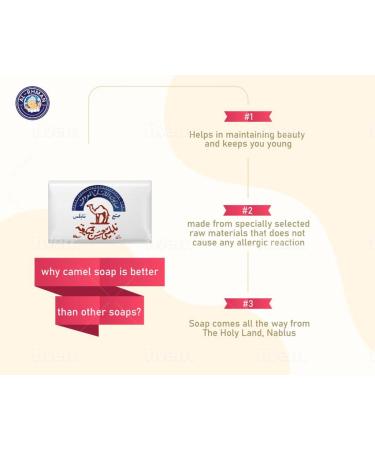 Buy Al Jamal Original Olive Oil Soap - Authentic Natural Arabic Soap from Nablus Palestine | Best for Hair & Body Care - Buy Online on GoSupps.com