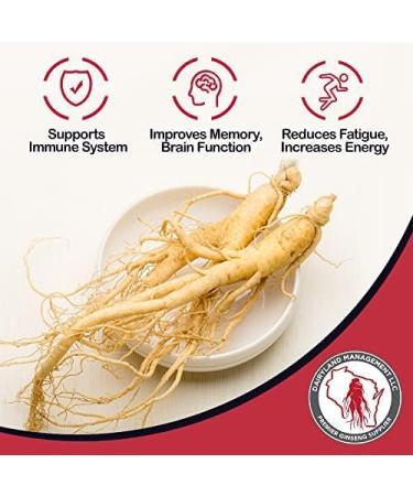 Dairyland American Ginseng Pearl Root (Non-GMO, Gluten Free) (Pearl 4 oz) - Buy Online on GoSupps.com