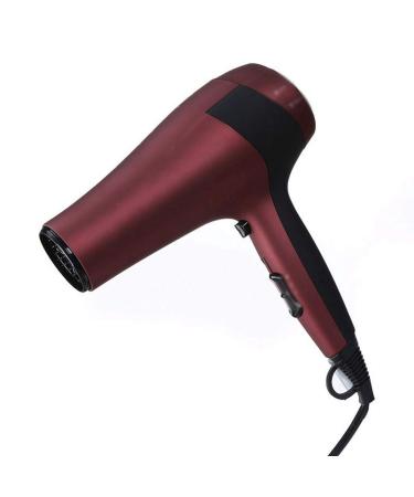 ADITAM Professional Lightweight Hair Dryers with Concentrator Negative Ionic Ceramic Blow Dryers Fast Drying with Ac Motor for Natural Hair Hot Tools Salon Hair Dryers Double The Comfort