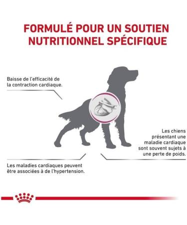 Royal Canin Veterinary Diet Dog Food Cardiac Adult 2 Kg - Buy Online on GoSupps.com
