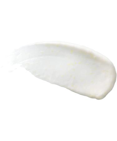 Burt's Bees Refining Cleanser with Natural Retinol | 6 oz Renewal - Buy Online on GoSupps.com