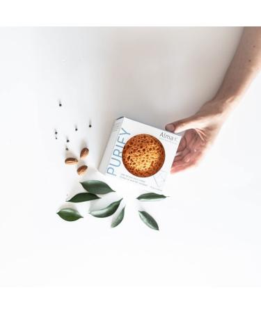 ALMA K Relaxing Shower Gel - Nourishing Body Wash for Men & Women with Dead Sea Minerals & Avocado Oil - White Tea & Neroli Scent - 8.4 oz - Buy Online on GoSupps.com