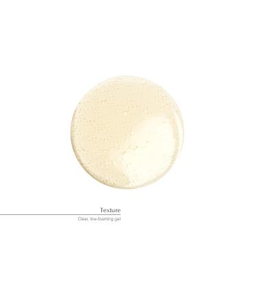 Aesop Fabulous Face Cleanser 200mL | Paraben-Free Cruelty-Free & Vegan | International Shipping - Buy Online on GoSupps.com