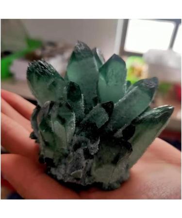 Crystal Gift Collectionn Natural Green Ghost Phantom Quartz Crystal Cluster Rock Stones and Crystals Specimen Home Decor Home CrystalMeditation Gift Crystal Cluster (Size : 250-300g) - Buy Online on GoSupps.com