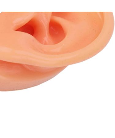 Silicone Human Ear Model for IEM Earphones Display - Professional Lecturing Display - Buy Online on GoSupps.com