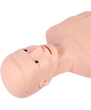 Jingedd Intubation Gastric Tube Model - Advanced Nasogastric & Tracheostomy Training Manikin for Nurses & Medical Students | International Shipping Available - Buy Online on GoSupps.com