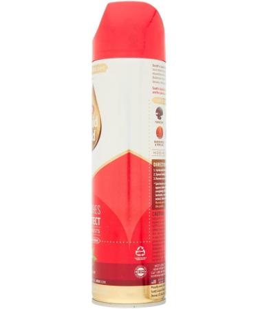 Scotts Liquid Gold A-10 10 oz Aerosol Wood Care - Pack of 3 - Buy Online on GoSupps.com