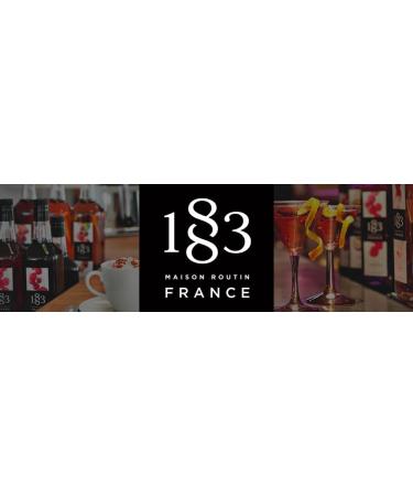 Maison Routin 1883 Syrup Pump for 1L Glass Bottles 4 Pack 4 Count - Buy Online on GoSupps.com