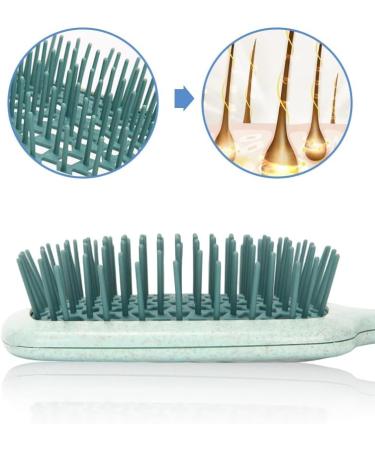 Comb 1 Piece Of Wide Tooth Air Cushion Comb Salon Scalp Massage Comb Brush Wide Tooth Comb (Color : Green) - Buy Online on GoSupps.com