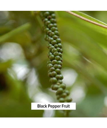 Banyan Botanicals Trikatu Powder - USDA Organic 8 oz - Digestive Support for Heavy Foods - Buy Online on GoSupps.com