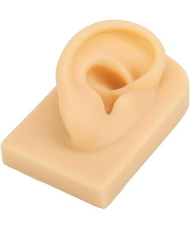 Silicone Ear Model Lifelike Artificial Silicone Ear Model Simulation Elastic for Display (Right) - Buy Online on GoSupps.com
