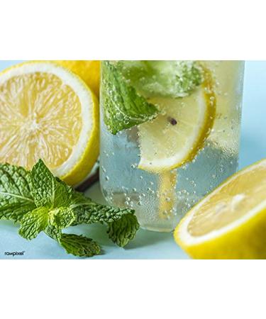 True Citrus True Lemon Fruit Infusion - Lemon Mint 10 Packets | Refreshing Flavor - Buy Online on GoSupps.com