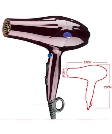2200W Ionic Hair Dryer Professtional Hair Dryer Salon Hairdryer 2 Speed and 3 Heat with Cool Button Diffuser and Concentrator Overheat Protection Low Noise Lightweight for Home Use Travel - Buy Online on GoSupps.com
