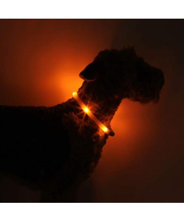 Leuchtie Luminous Elbe LED Dog Collar - Waterproof USB Charging 25h Light Duration Bright & Durable - Sunset Orange Size 35 for Small Medium Large Dogs - Buy Online on GoSupps.com