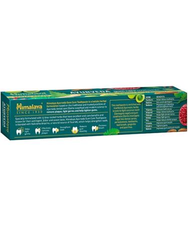 Ayurveda Gum Care Toothpaste 150G | Reduces Gum Bleeding & Fights Bad Breath | 13 Ayurvedic Herbs for Healthy Gums - International Shipping Available - Buy Online on GoSupps.com