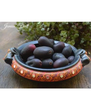 Jamun Seeds Powder 200g Organic non GMO Indian blackberry powder - Buy Online on GoSupps.com