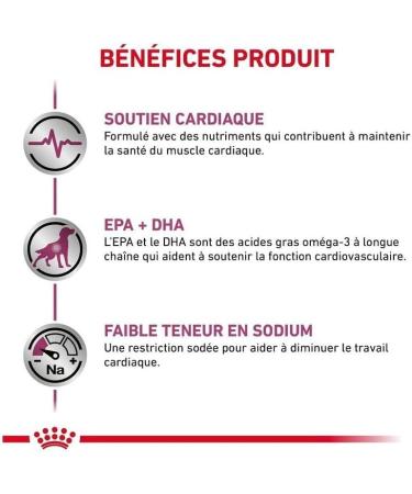 Royal Canin Veterinary Diet Dog Food Cardiac Adult 2 Kg - Buy Online on GoSupps.com