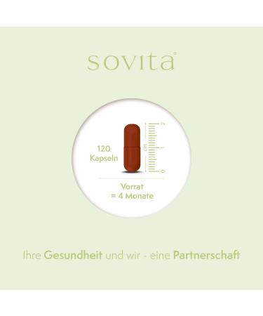 Sovita Blood Sugar Capsules - Cinnamon Bark Extract | Dietary Supplement | 120 Capsules for Optimal Blood Sugar Support - Buy Online on GoSupps.com