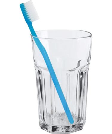Blue Handle Disposable Toothbrushes - Individually Wrapped (50 Pack) for Hotel, AirBnB, and Homeless Care - Buy Online on GoSupps.com