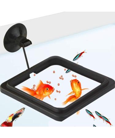 SunGrow Feeding Ring, Floating Food Square, Suitable for Flakes and Floating Fish Food for Goldfish and Other Smaller Fish 1 Piece
