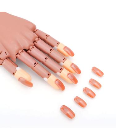 Kyerivs 200 Pcs Brown Acrylic False Nails Tips for Hand Practice | Removable Training Manicure Tools & Accessories - Buy Online on GoSupps.com
