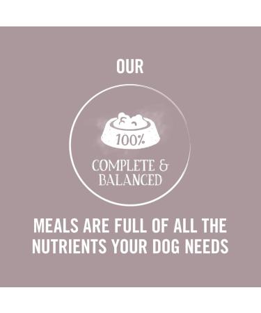 Butcher's Puppy Perfect Dog Food Trays 3.6 kg (24 x 150 g) | Premium Nutrition for Puppies - Buy Online on GoSupps.com
