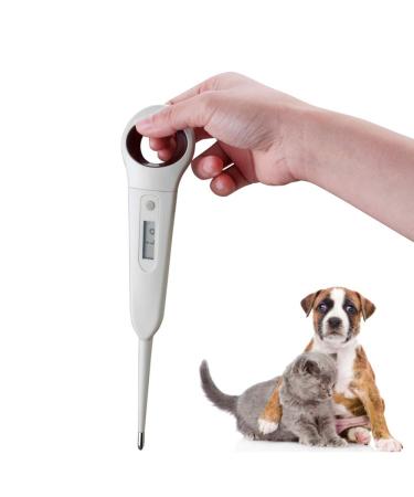aurynns Pet Dog Thermometer Horse Anus Thermometer Fast Digital Veterinary Thermometer for Dogs, Cats,Pig,Sheep(
