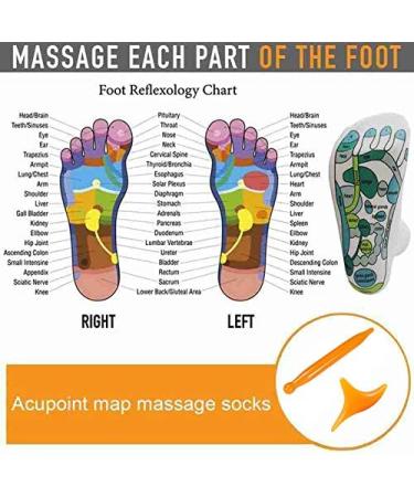 Acupressure Reflexology Socks with Massage Tools - Relieve Tired Feet | White Physiotherapy Socks - Buy Online on GoSupps.com