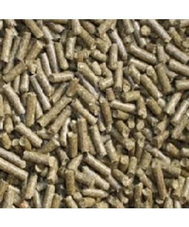 catappa-leaves Pack of 20 multivitamin food sticks (50 g) for shrimp and fish. - Buy Online on GoSupps.com