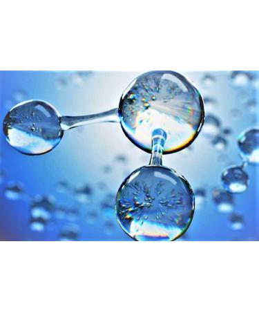 Bion SS Health Defense Silver Hydrosol with Ozone - 16 Fl Oz | Premium Immune Support & Water Purification - Buy Online on GoSupps.com