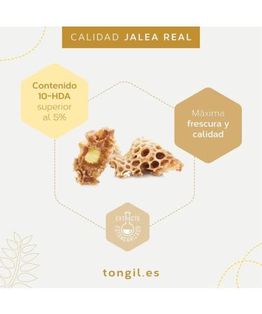 Apicol Freeze Dried Royal Jelly 20 ampoules of 1000mg from Api-Nature - Guaranteed content in min. 5% 10-HDA Exclusive Fatty Acid and Revealing Parameter of its Freshness and Quality | by Api-Nature - Buy Online on GoSupps.com