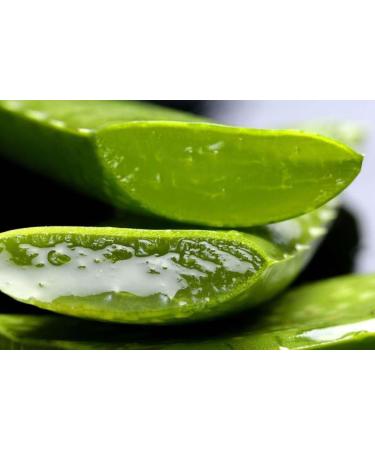 100% Organic Alovera Gel with Pure Aloe Vera & Vitamin E Chemical Free Paraben & Silicone Free Suits All Skin & Hair Types - Buy Online on GoSupps.com