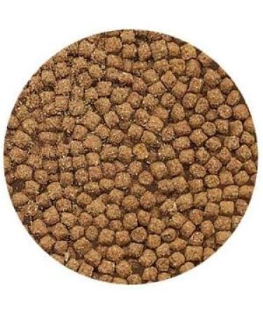 Flamingo PP Cichlid Food Granule for Aquarium 500 ML - Buy Online on GoSupps.com