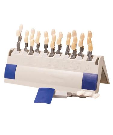 29 Colors Teeth Whitening Shade Guide  Teeth Whitening Shade Chart  Comparison Individually Removable Tooth Bleaching Shade Chart