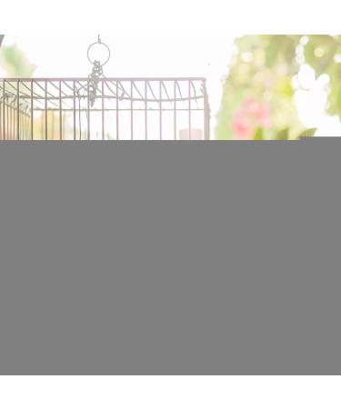 130ml Bird Water Dispenser | Automatic Hanging Feeder for Parrots Budgies & Lovebirds | Portable Drink Bottle for Birds - Buy Online on GoSupps.com