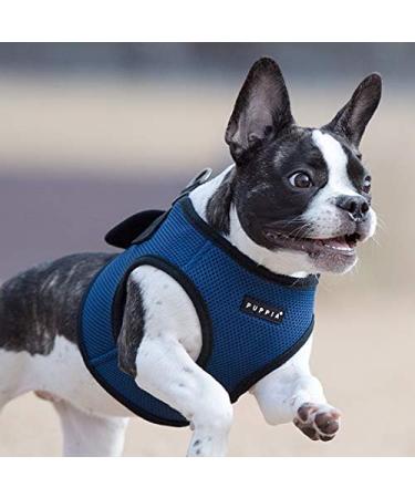 Puppia Dog Harness for Small & Medium Dogs - Soft Vest in Various Colors | Atani Train Crockery for Dogs - Royal Blue XL - Buy Online on GoSupps.com