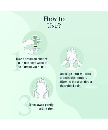 Arata Refreshing Face Wash | Lemon Oil, Peppermint & Flaxseed | EWG Certified, All Natural, Vegan & Cruelty-Free | Gently Exfoliates & Reduces Oil - 1.7 Fl Oz - Buy Online on GoSupps.com