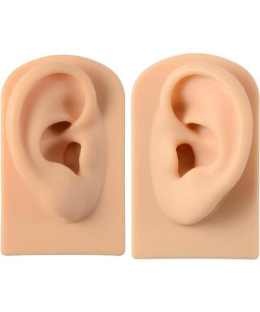XARONF Silicone Acupuncture Ear Model Simulation Artificial Ear Model Reused Ear Displays Mould for Science Class Anatomic Office Science Study 1set (Color : Skin Tone)