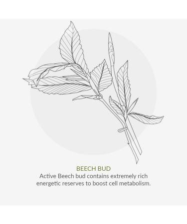 Age Defy+ Hydrate & Renew Serum 30ml | Natural & Organic Anti-Ageing Facial Serum by Cha V htz | Hydrating Face Serum for Dry Mature Skin | Paraben Free & Ethyl Alcohol Free | Cruelty Free & Vegan - Buy Online on GoSupps.com