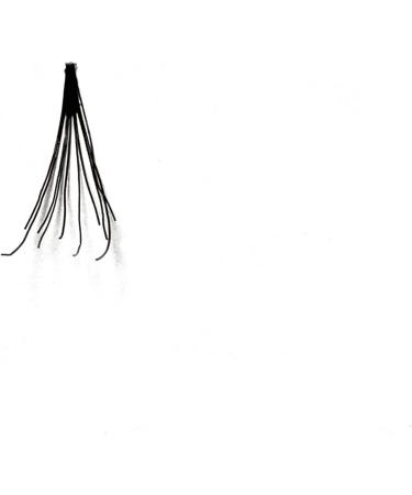 Beauty Forever Professional Individual Lashes 5 Ply Flare Black Knot Free For Natural Volume Available Sizes Short Medium & Long (BF1002-Medium) - Buy Online on GoSupps.com