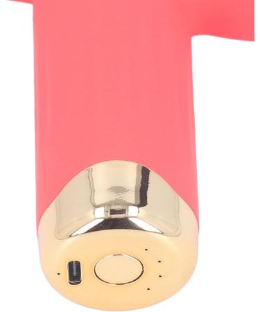 Alomejor Mini Fan: Portable Bladeless Hair Dryer for Pets | 4 Wind Levels 1100mAh Battery - Ideal for Cats & Dogs (Red - Buy Online on GoSupps.com