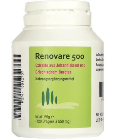 Renovare 500