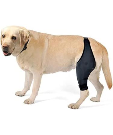 BELLIFFY Dog Injured Knee Dog Care Cat Leg Splint Leg Brace Cat Canine Carpal Hind Leg Pet XL As Shown - Buy Online on GoSupps.com