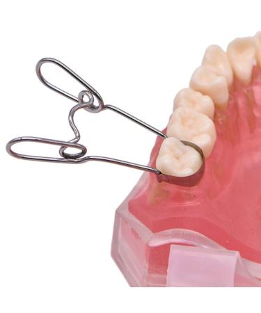 MOVALY 100Pcs Dental Sectional Contoured Metal Matrices Kit for Teeth Fixing - Buy Online on GoSupps.com